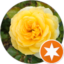 遅い人 profile picture